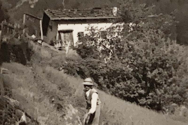 Storia del Maso Tumlhof