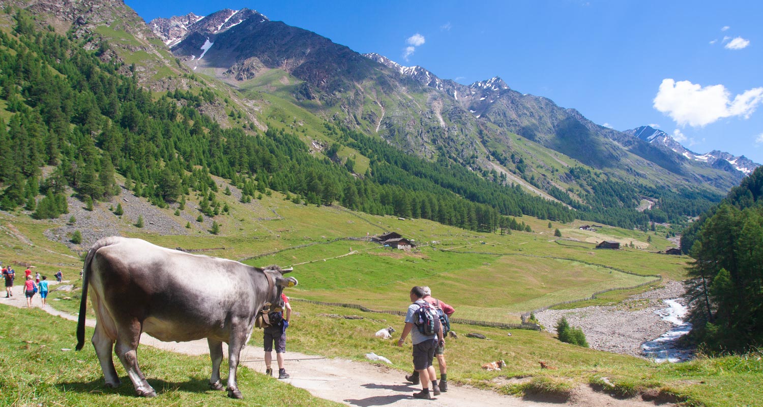 Val di Fosse - Parco naturale Gruppo di Tessa