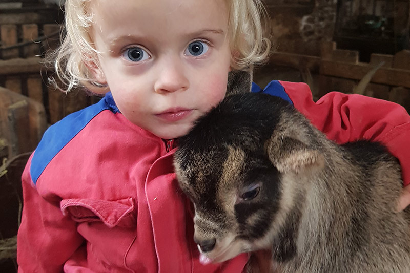 Capre al Maso Tumlhof