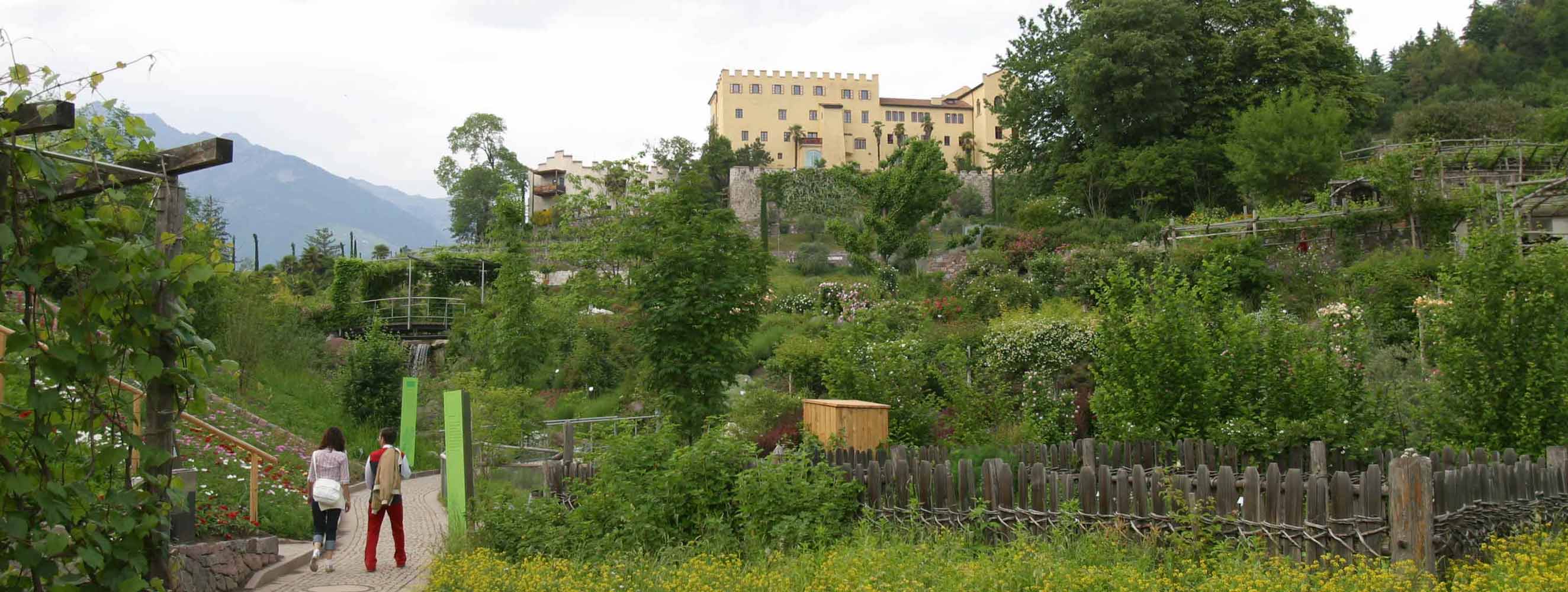 Da vedere e link utili