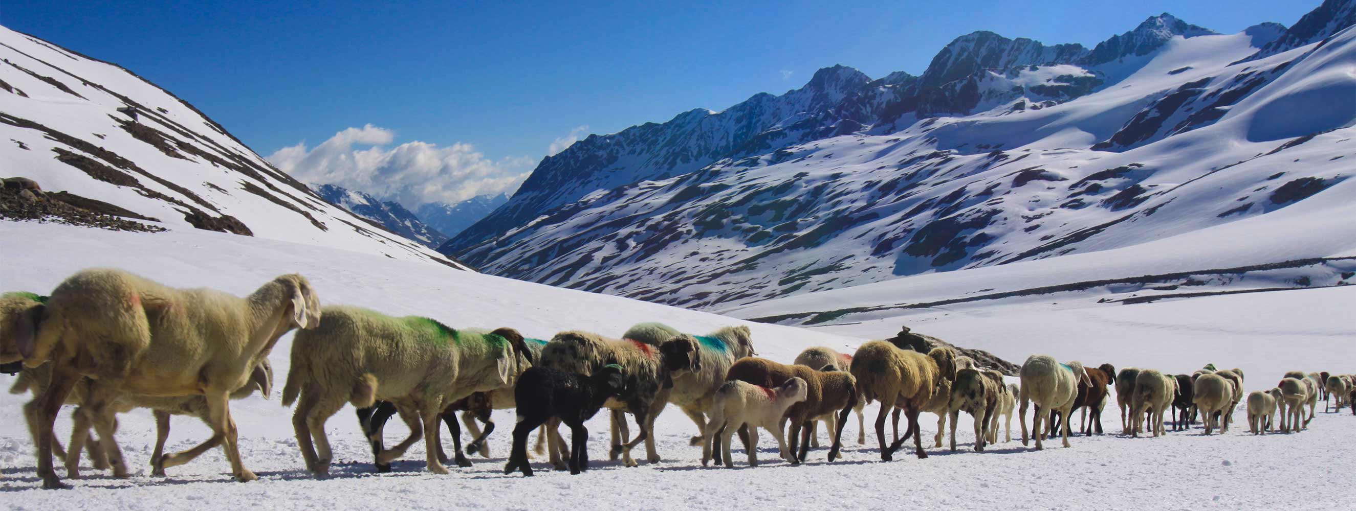 Attrazioni e cultura in Val Senales